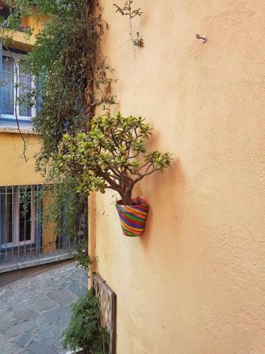 Apartamento Rocade De Collioure