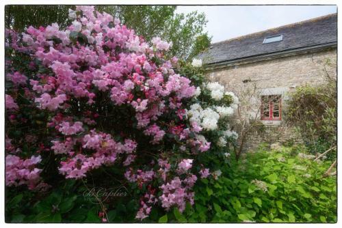 Manoir Pors Braz B&B