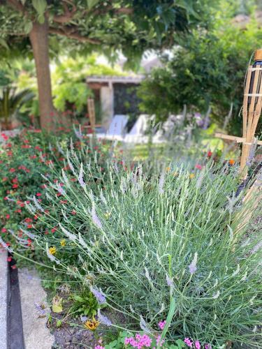 Chez Les Gar�ons