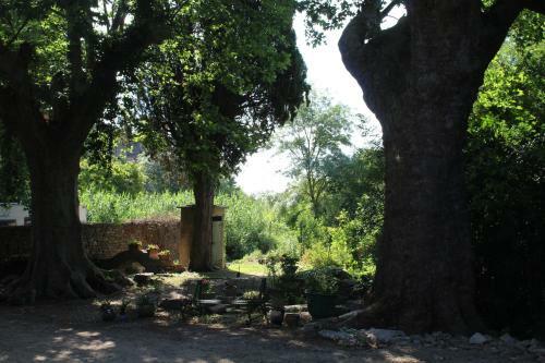 Apartamento Les Platanes Du Domaine, Piscine