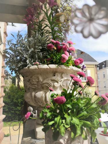 Hostal Castelnau