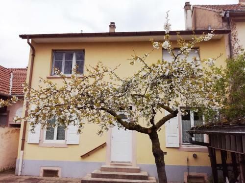 Apartamento Appartement Avec Jardin � Colmar