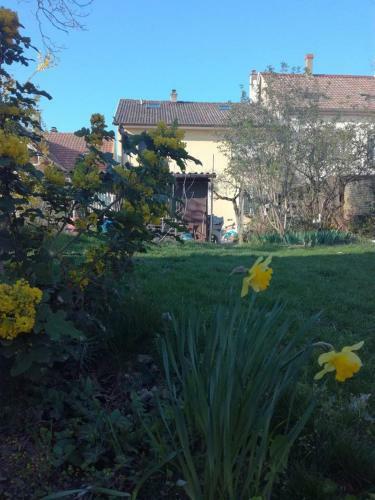 Apartamento Appartement Avec Jardin � Colmar