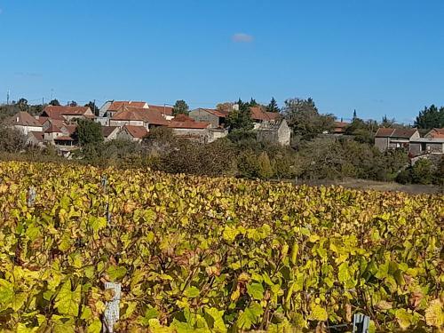 Bed & Breakfast L'oxalis Chambre D'h�te Petit D�jeuner Compris