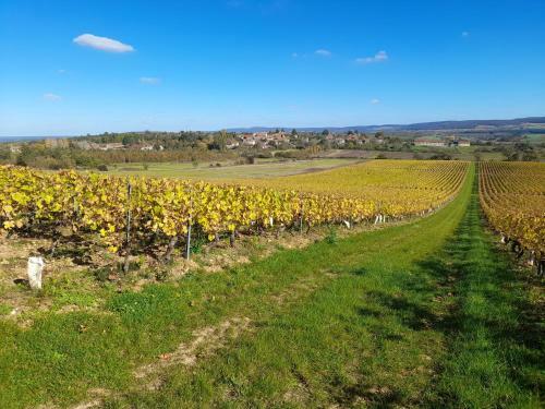 Bed & Breakfast L'oxalis Chambre D'h�te Petit D�jeuner Compris