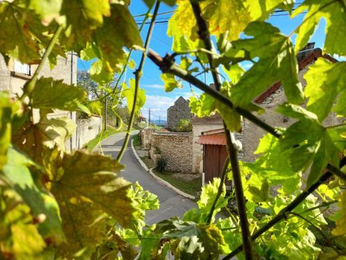 Bed & Breakfast L'oxalis Chambre D'h�te Petit D�jeuner Compris
