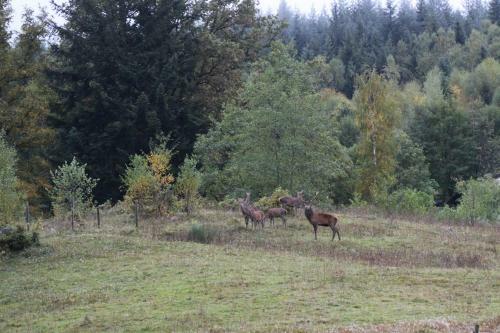 Haut Pr� De Ces Dames