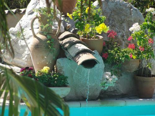 Bed & Breakfast L'alivu