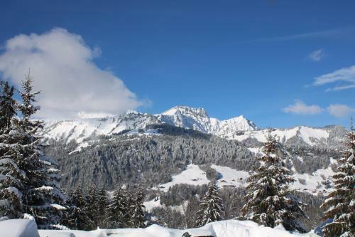 Hotel Le Mont Bisanne