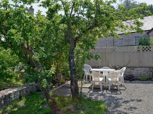 Tan Y Bryn Cottage