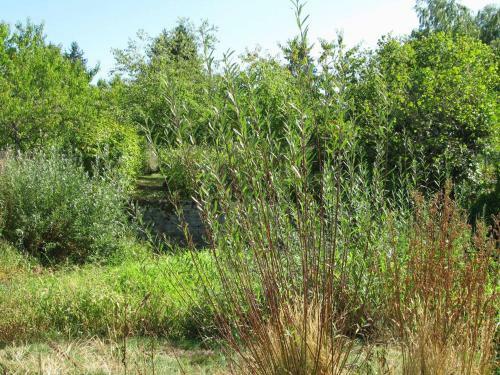 Villa Maison �cologique