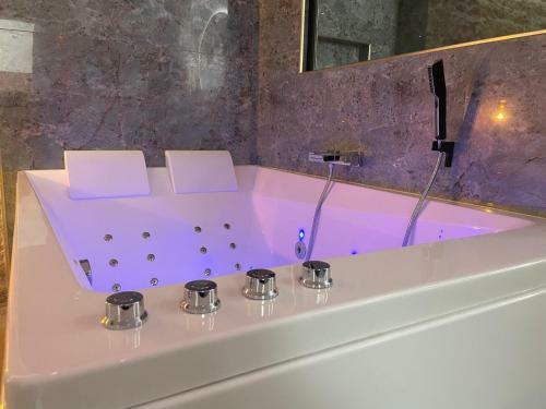Apartamento Les Jardins Secrets - Appart Spa - Gare & Centre