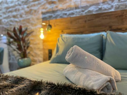Apartamento Les Jardins Secrets - Appart Spa - Gare & Centre