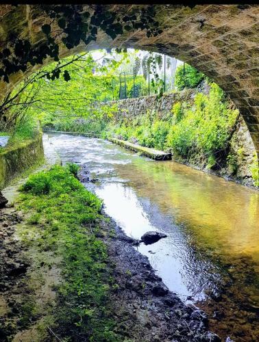 Un Coin de Paradis � Doue , 40 Minutes Disneyland