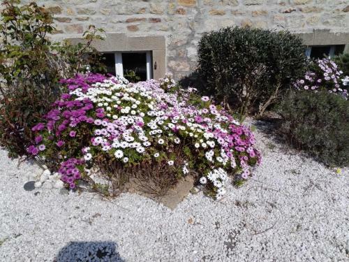 Bed & Breakfast Izella
