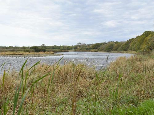 Teifi
