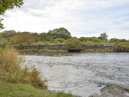 Teifi