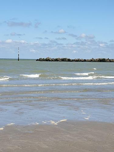 Apartamento Appartement Malo Les Bains Plage