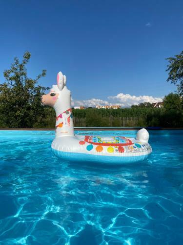 Magnifique Villa Piscine Dans Un �crin de Verdure