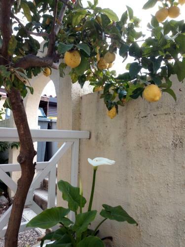 Bed & Breakfast L'orangeraie