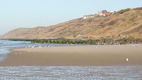 Equihen Plage Maison 83