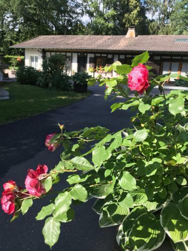 Bed & Breakfast La Long�re Piscine&spa Priv�