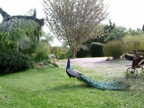 Bed & Breakfast La Ferme Du Bourg