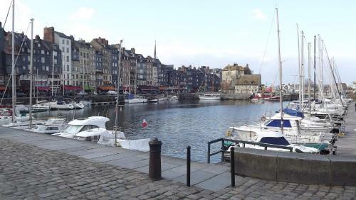 Rosalina - Honfleur