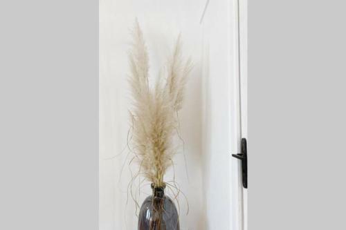 L?�crin De Romane, Maison Dans L?hyper Centre