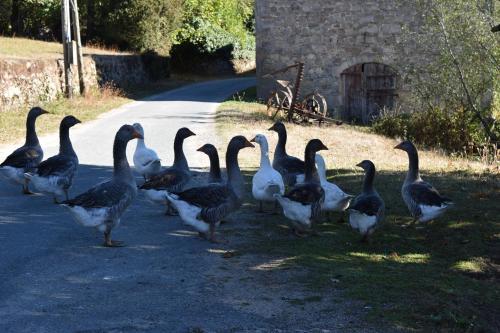 Bed & Breakfast "en Bord De Chemin"