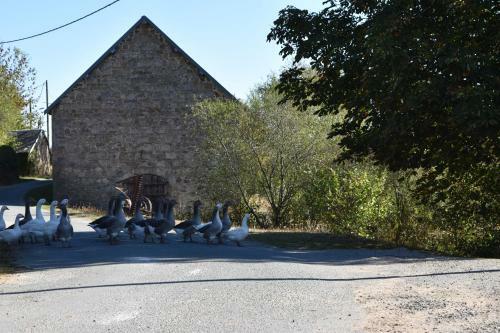Bed & Breakfast "en Bord De Chemin"