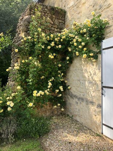 La Panneterie