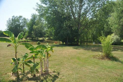 Cottage "le Pre Calas" | Etang, Parc Enfant Et Spa