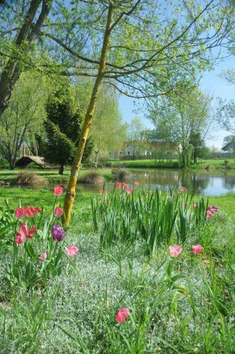 Cottage "le Pre Calas" | Etang, Parc Enfant Et Spa