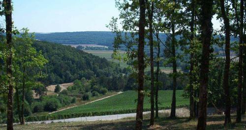 Le Val Des Vignes