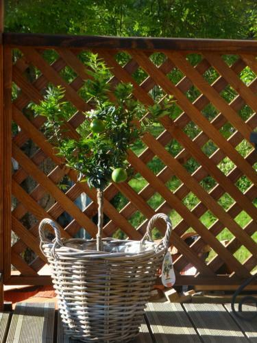 Gite Colombe Des Bois