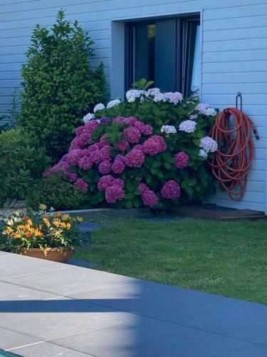 Bed & Breakfast Les Evens La Baule
