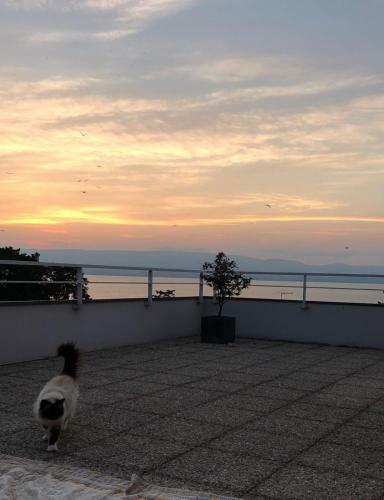 Immodreams - L'attik With Lake Views And 80m2 Terrace