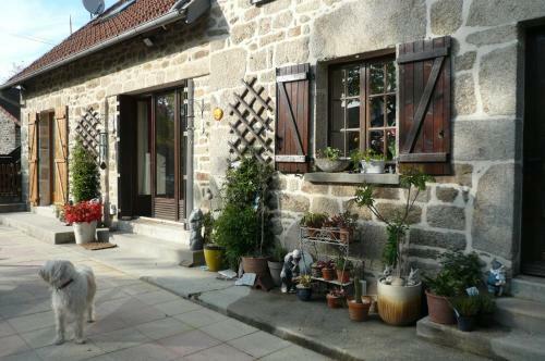 Bed & Breakfast Le Petit Papillon
