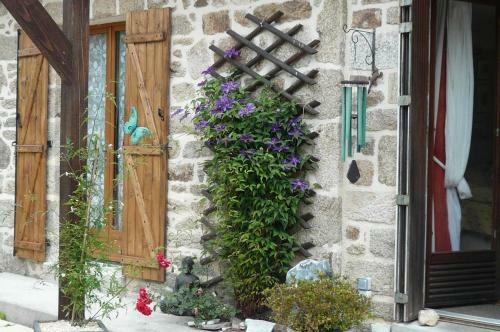 Bed & Breakfast Le Petit Papillon