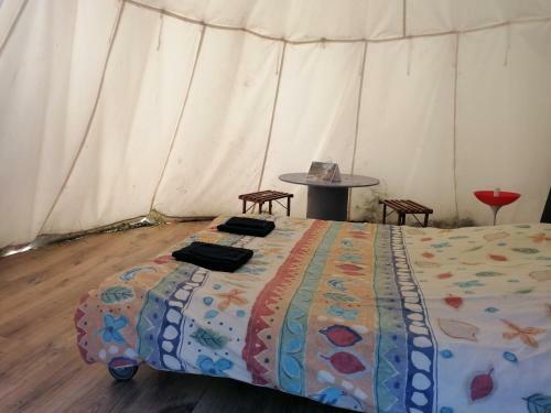 Tipi La Bodib