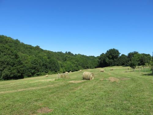 Domaine De Cim�lia