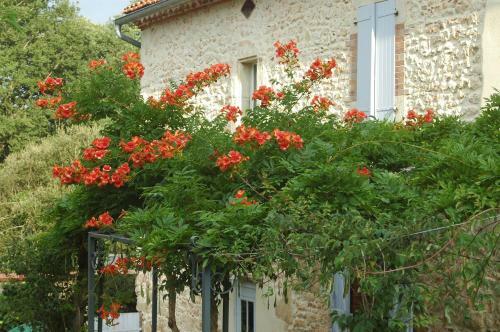 Domaine De Cim�lia