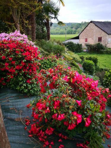 Hostal Chateau De Heaas