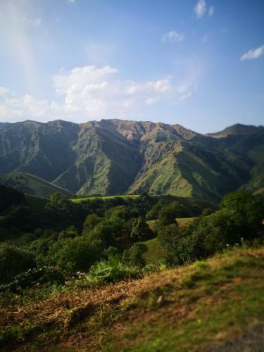 Hostal Chateau De Heaas