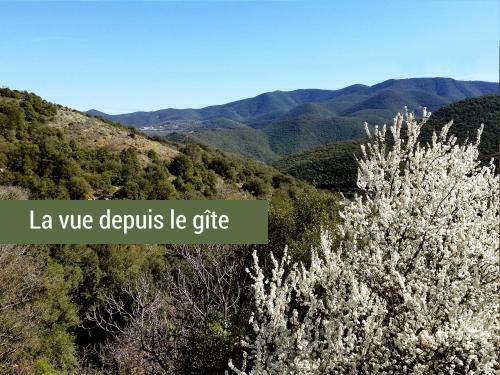 Pyr�n�es Mon Amour