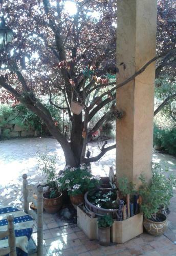 Bed & Breakfast Atelier Pasquer
