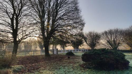 Bed & Breakfast Domaine de L'h�tel Au Franc