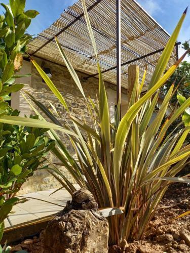 Bed & Breakfast Maison Reces