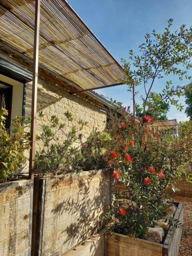 Bed & Breakfast Maison Reces
